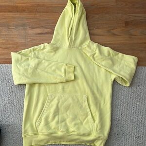Aritzia hoodie